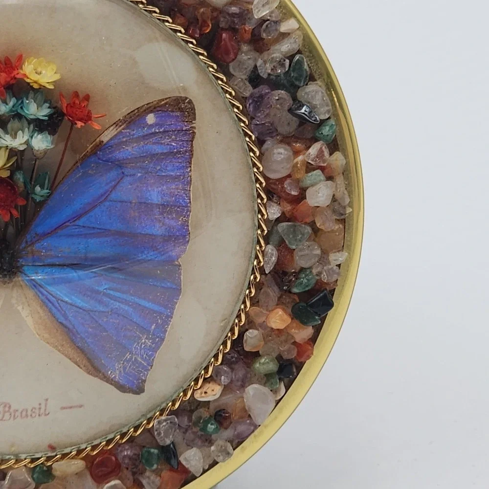 Brasil Butterfly Taxidermy Dried Flowers Wall Glass Bubble Convex Gemstone Frame